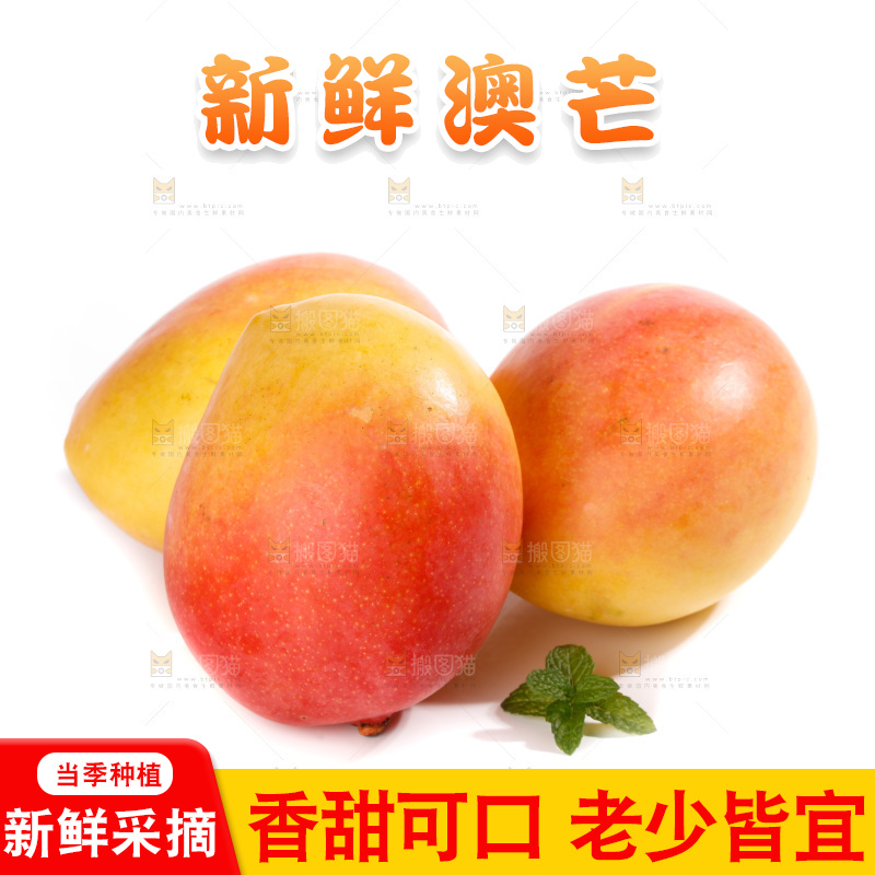 白底上的澳芒