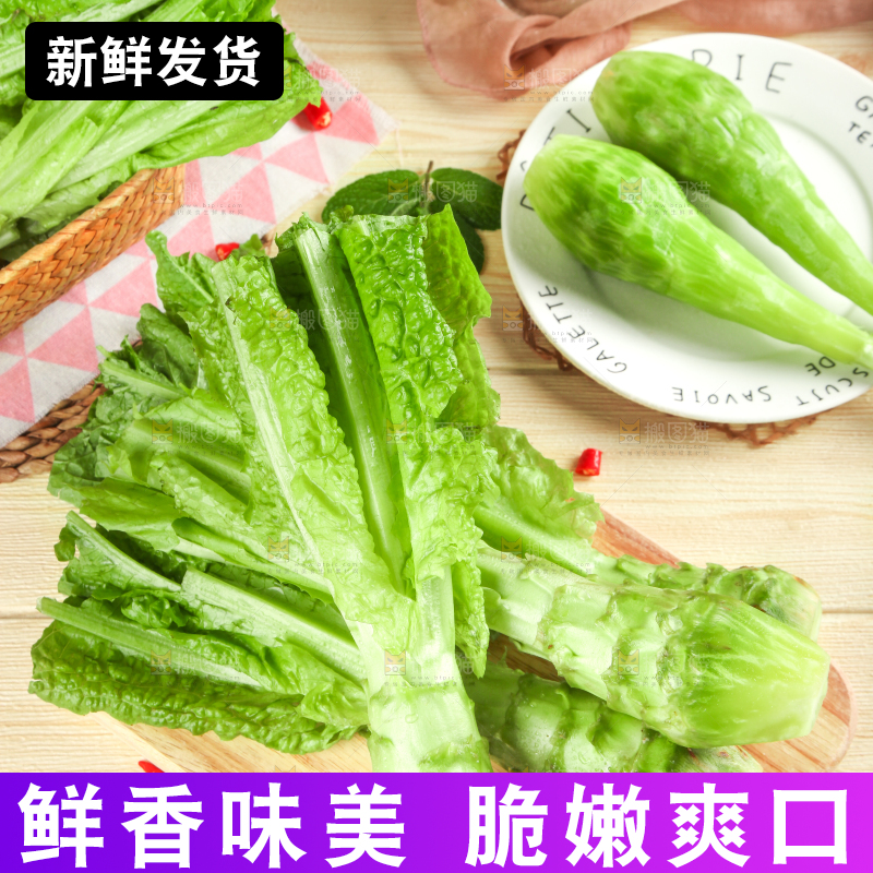浅底上的莴笋