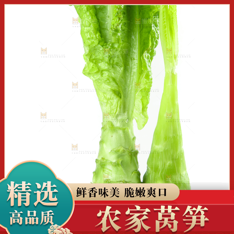 白底上的新鲜莴笋