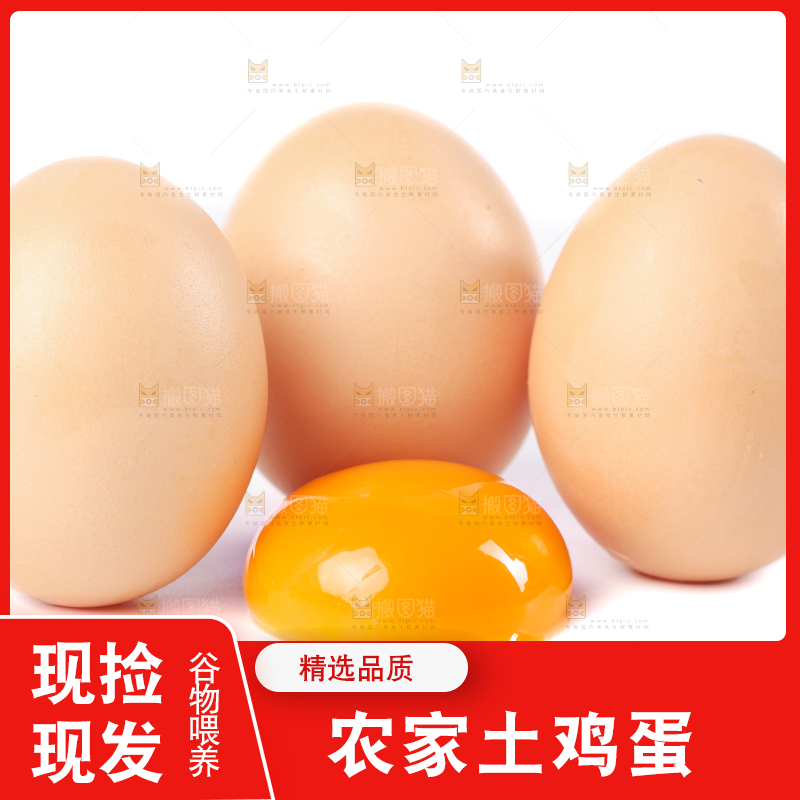 白底上的土鸡蛋