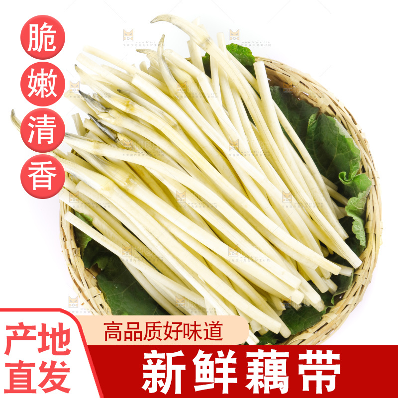 白底上的新鲜藕带