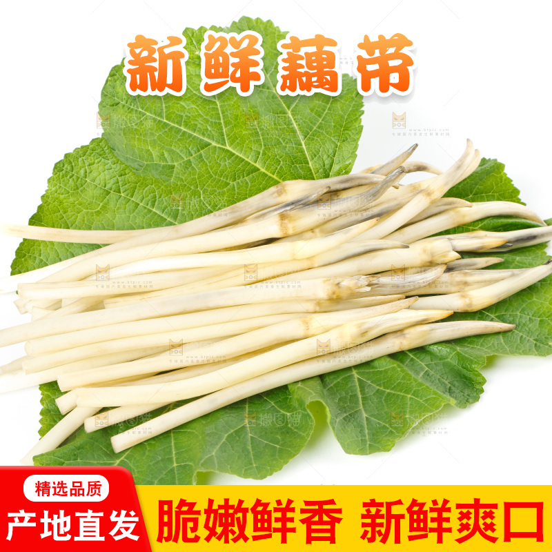 白底上的新鲜藕带