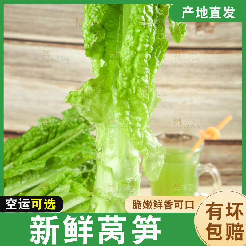 浅底上的莴笋