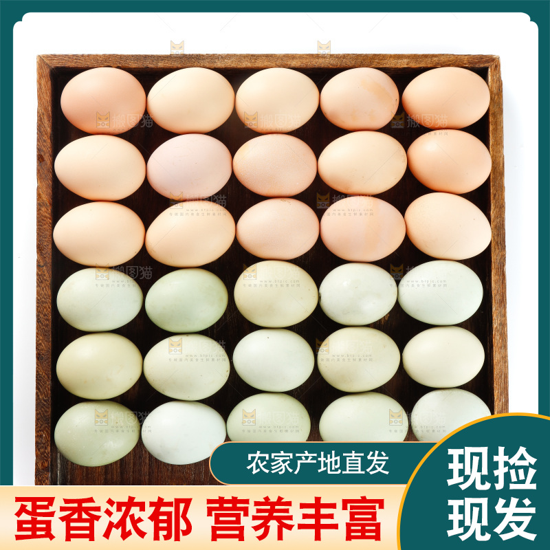 白底上的土鸡蛋