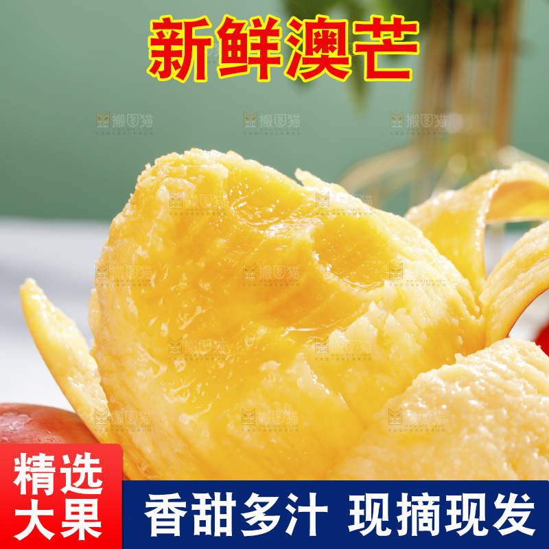 浅底上的澳芒