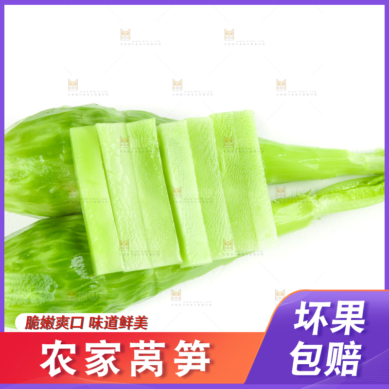 白底上的新鲜莴笋