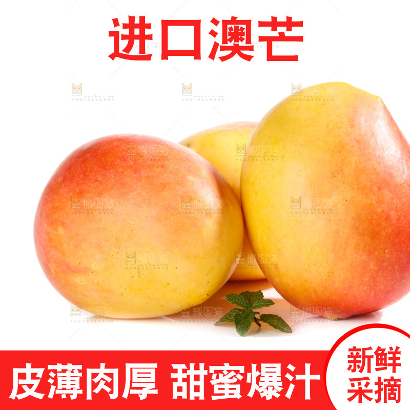 白底上的澳芒