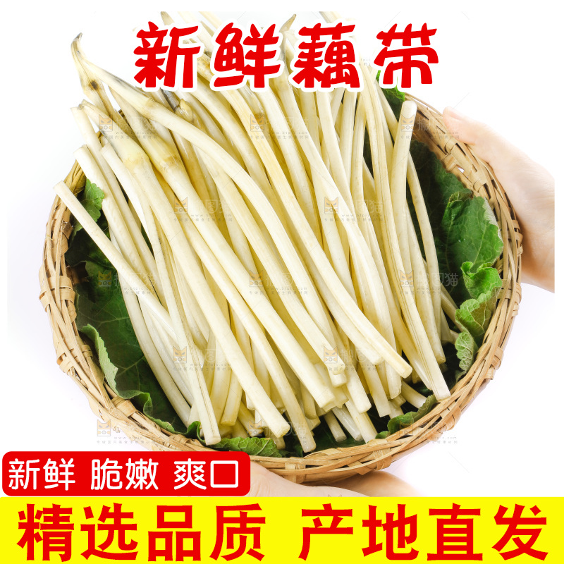 白底上的新鲜藕带