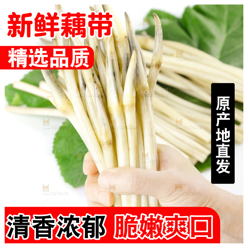 白底上的新鲜藕带