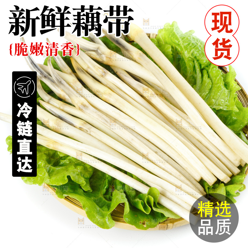 白底上的新鲜藕带
