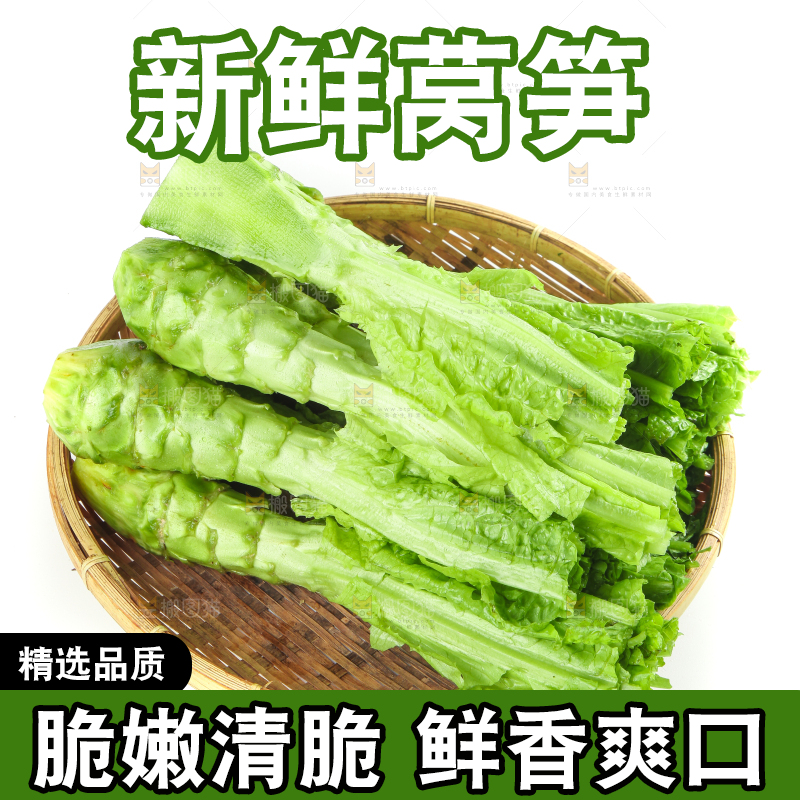 白底上的新鲜莴笋