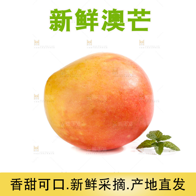 白底上的澳芒