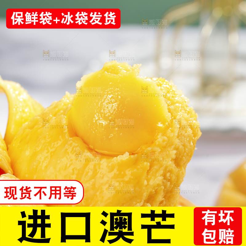 浅底上的澳芒