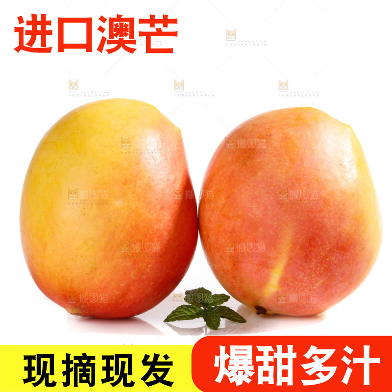 白底上的澳芒