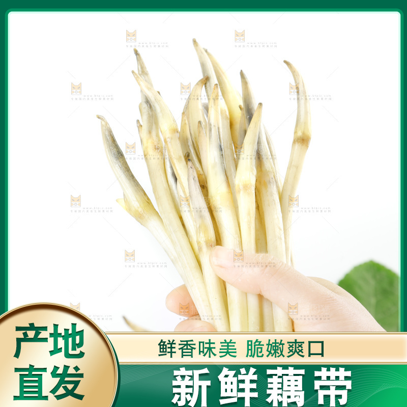 白底上的新鲜藕带