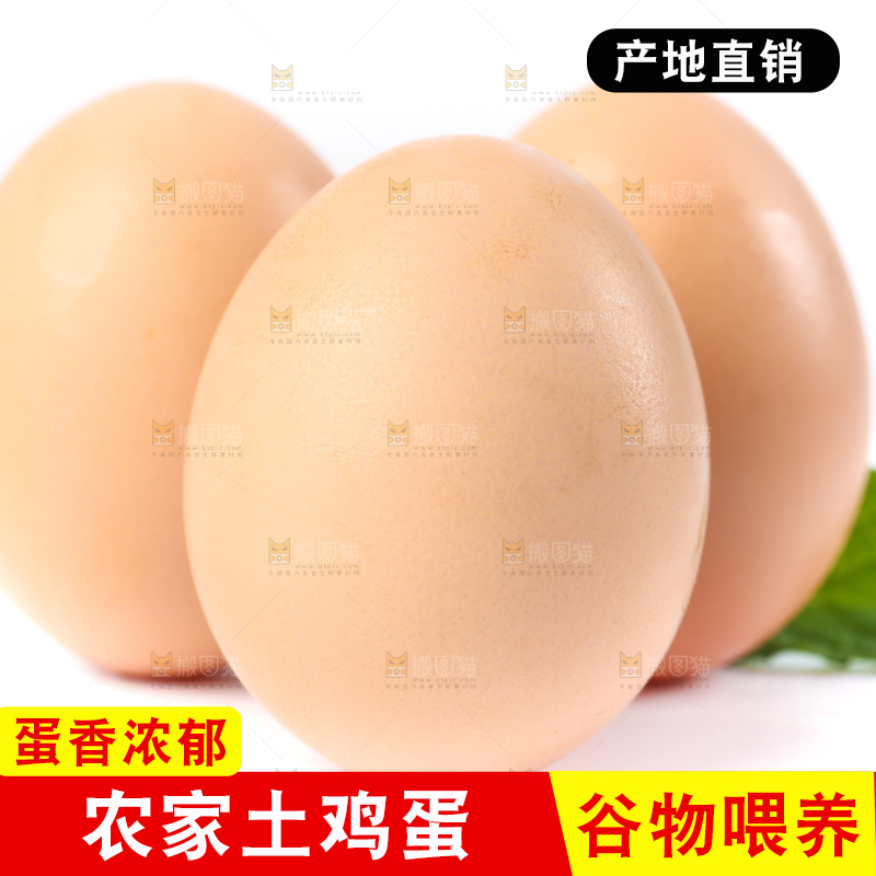 白底上的土鸡蛋
