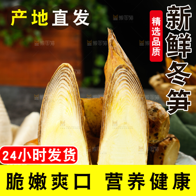 深底上的新鲜冬笋