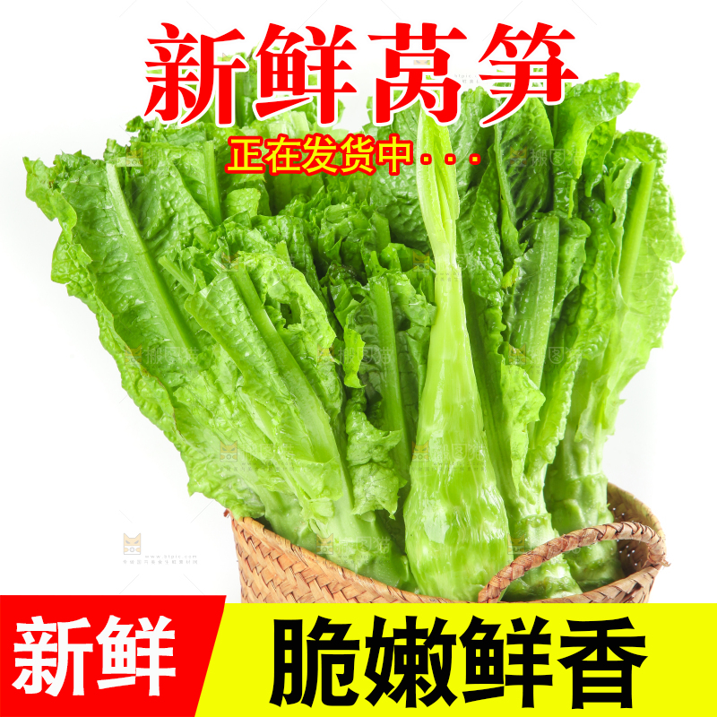 白底上的新鲜莴笋