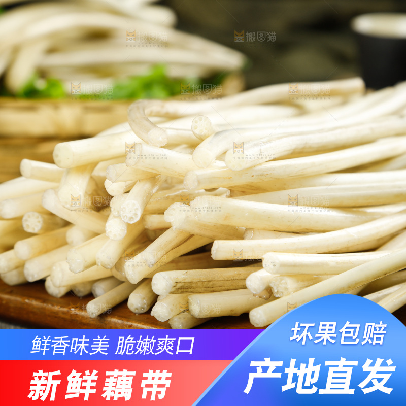 深底上的藕带