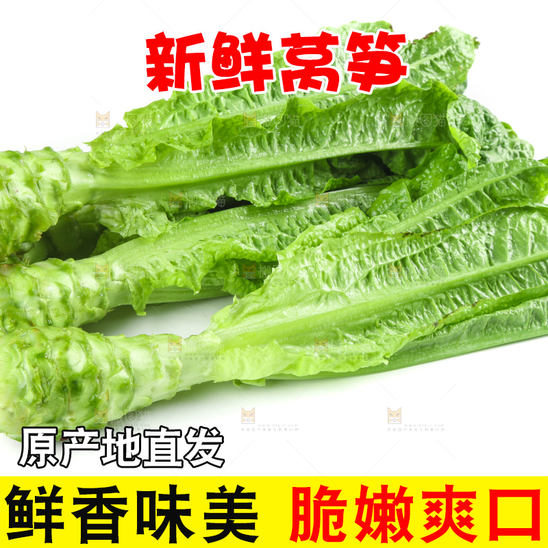 白底上的新鲜莴笋