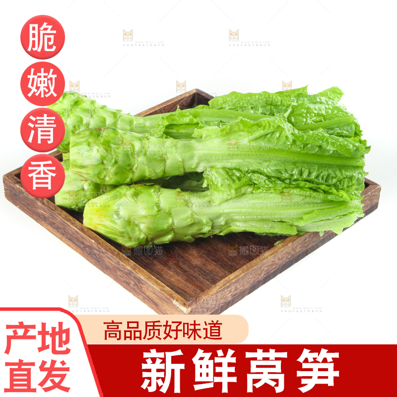 白底上的新鲜莴笋
