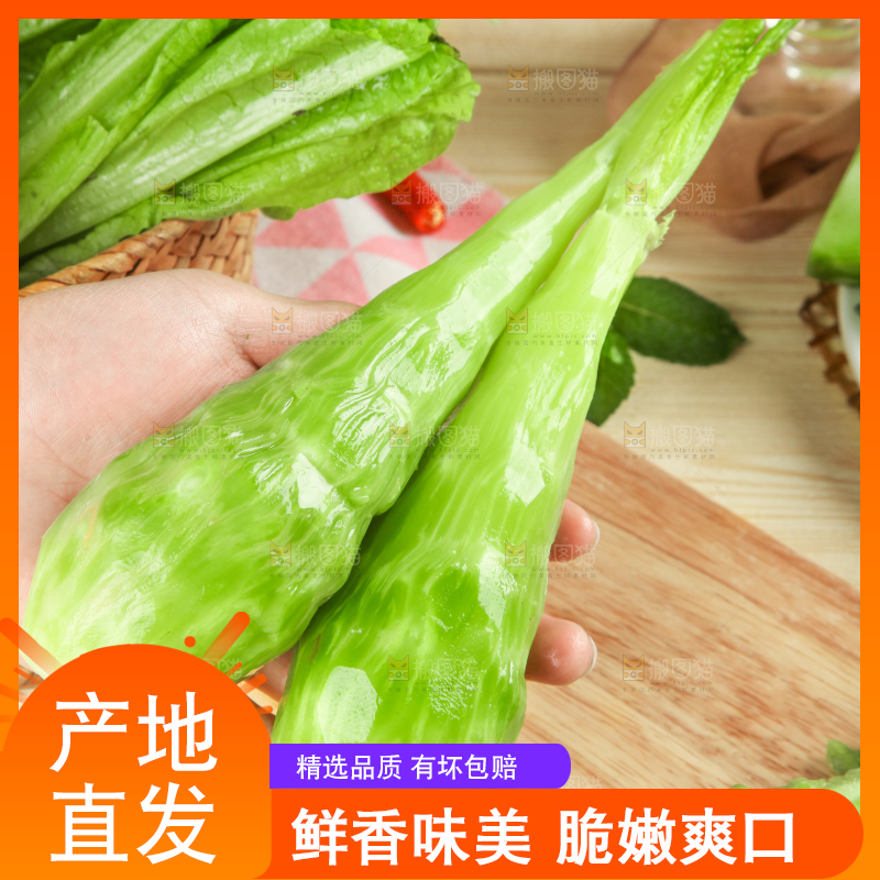 浅底上的莴笋