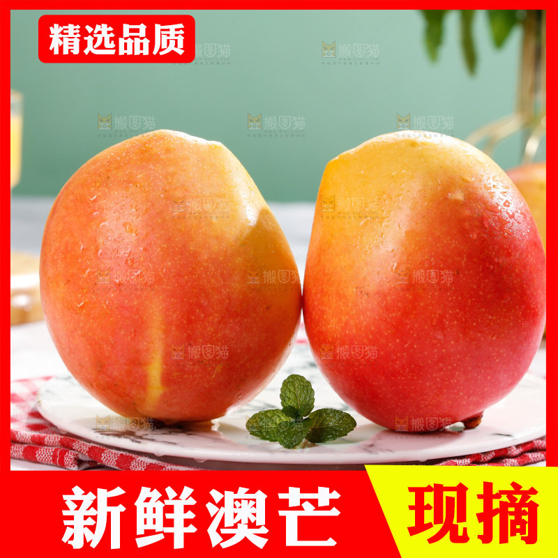 浅底上的澳芒