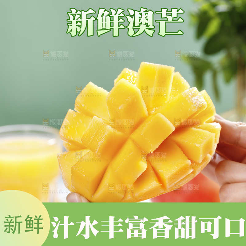 浅底上的澳芒