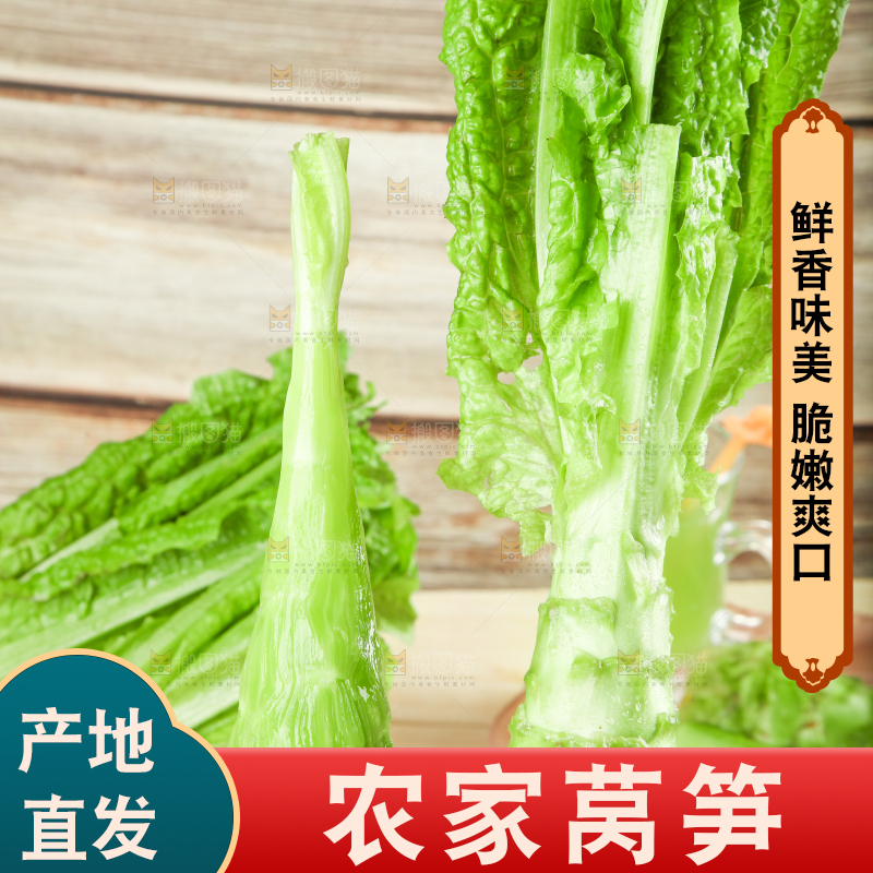 浅底上的莴笋