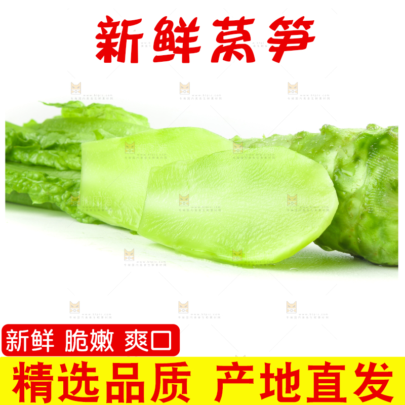 白底上的新鲜莴笋