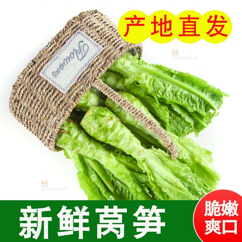白底上的新鲜莴笋