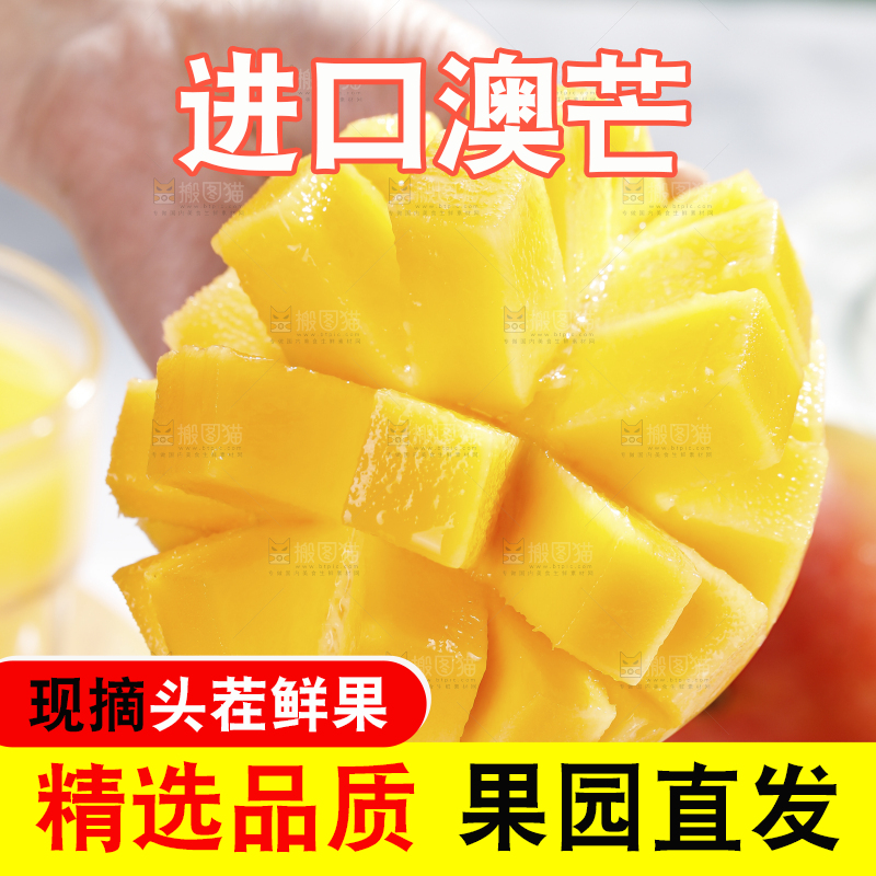 浅底上的澳芒
