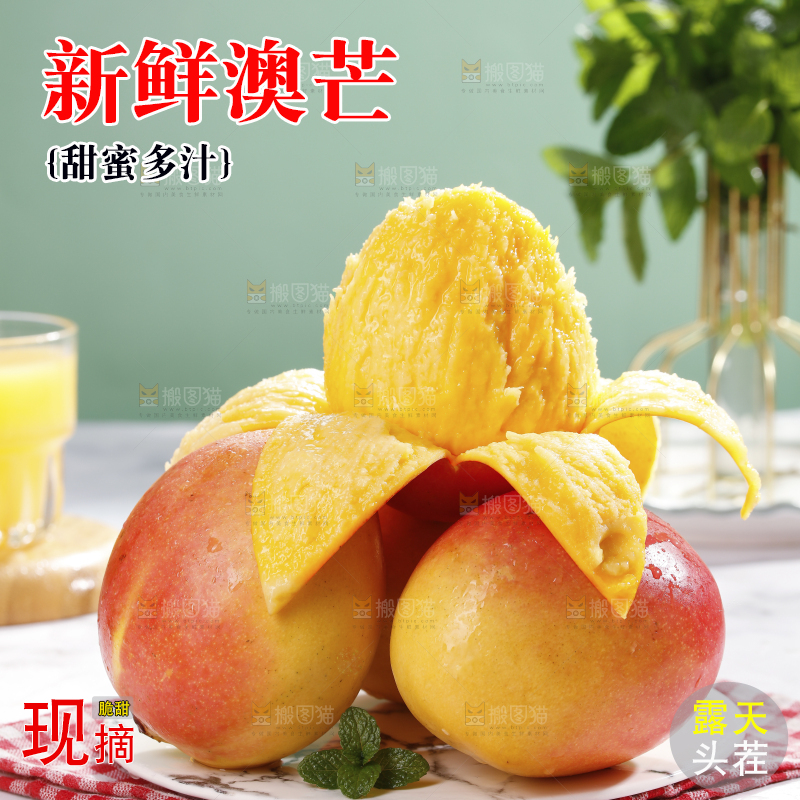 浅底上的澳芒