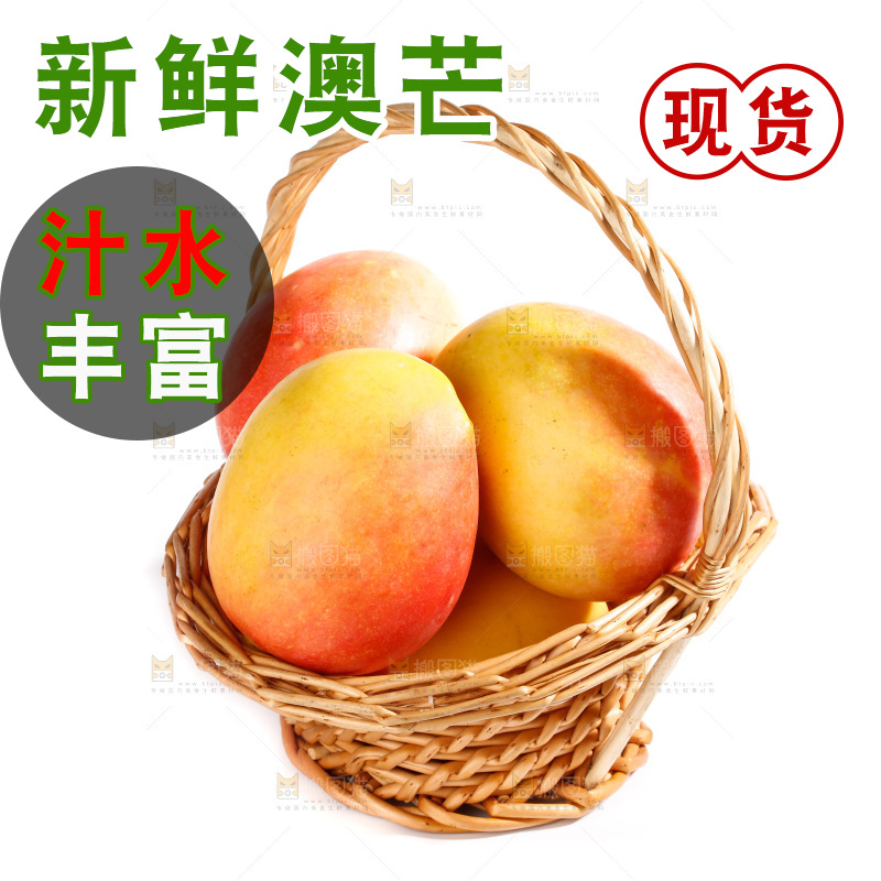 白底上的澳芒