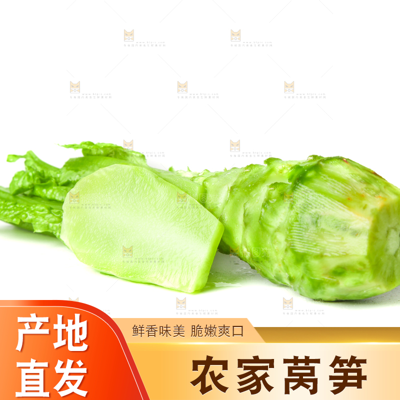 白底上的新鲜莴笋