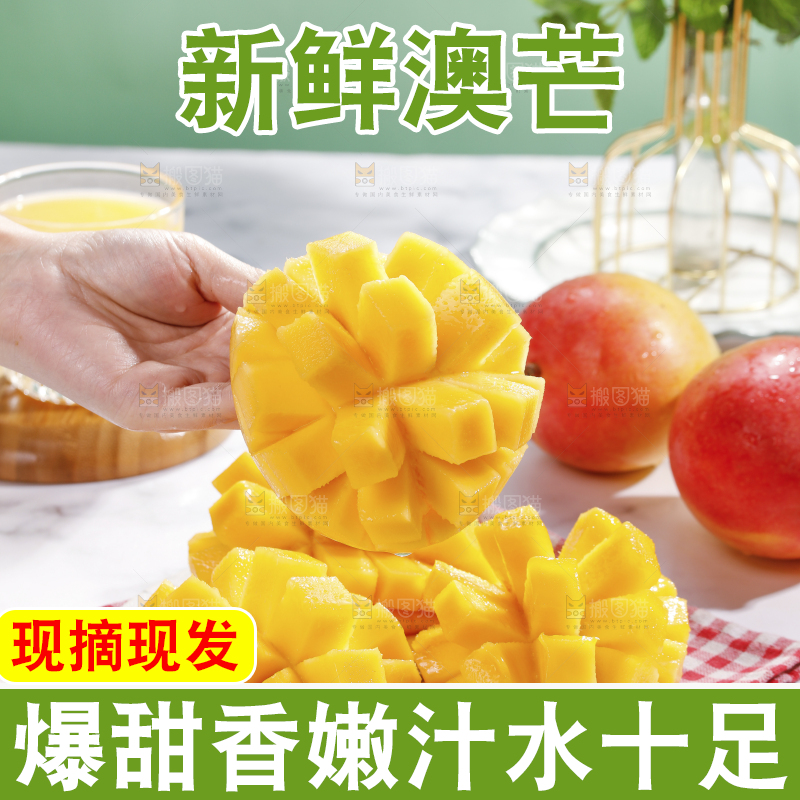 浅底上的澳芒