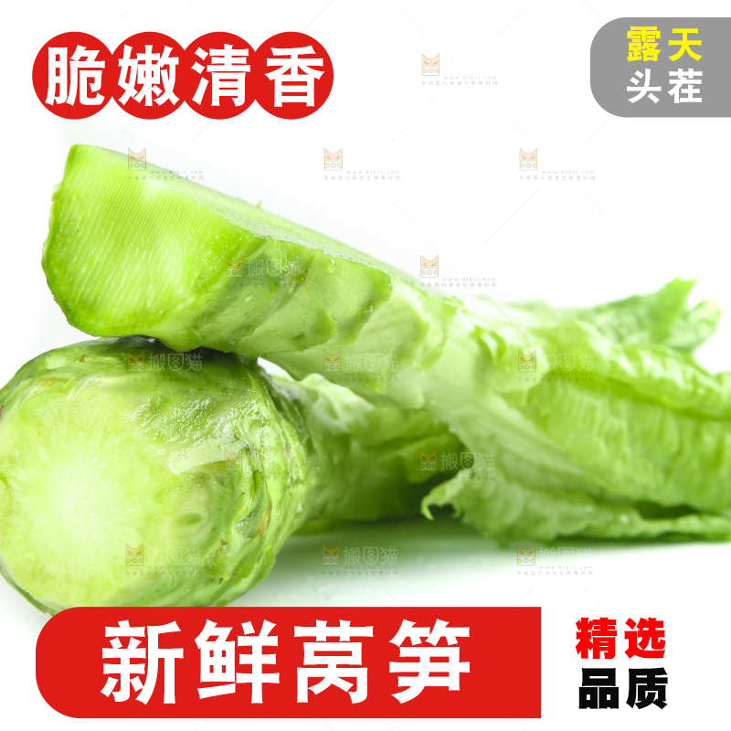 白底上的新鲜莴笋