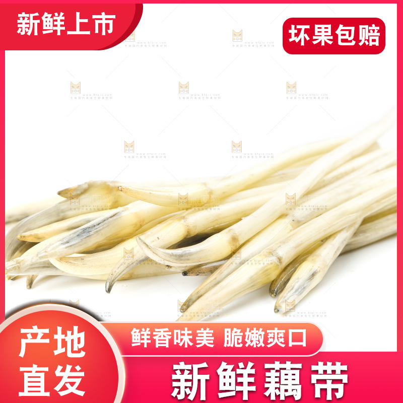 白底上的新鲜藕带