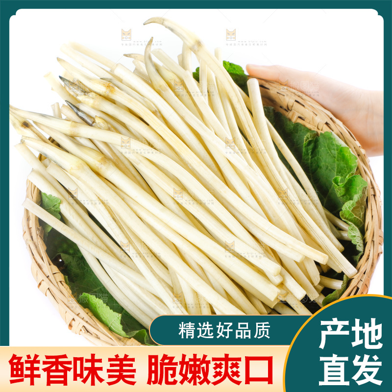 白底上的新鲜藕带