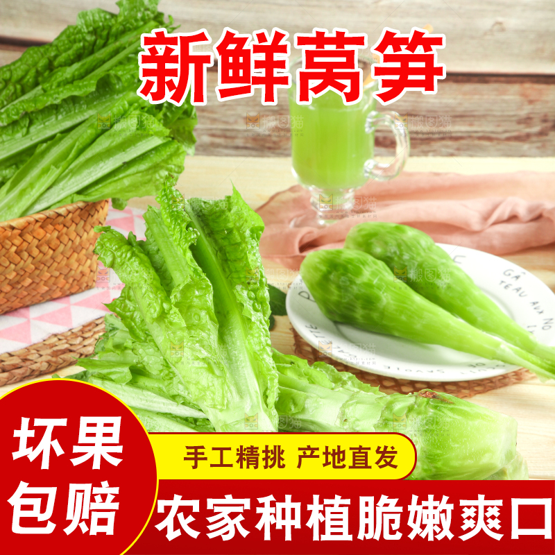 浅底上的莴笋