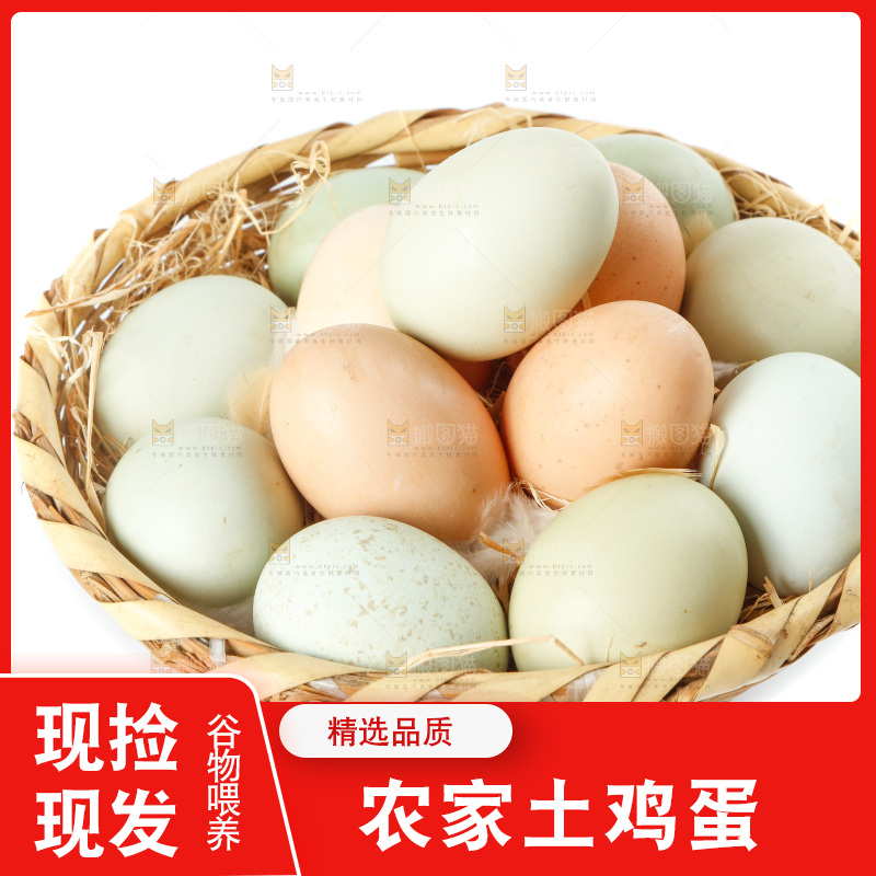 白底上的土鸡蛋