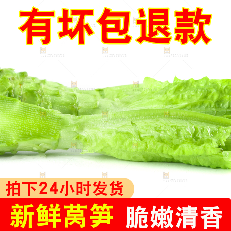 白底上的新鲜莴笋