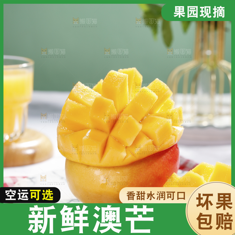 浅底上的澳芒