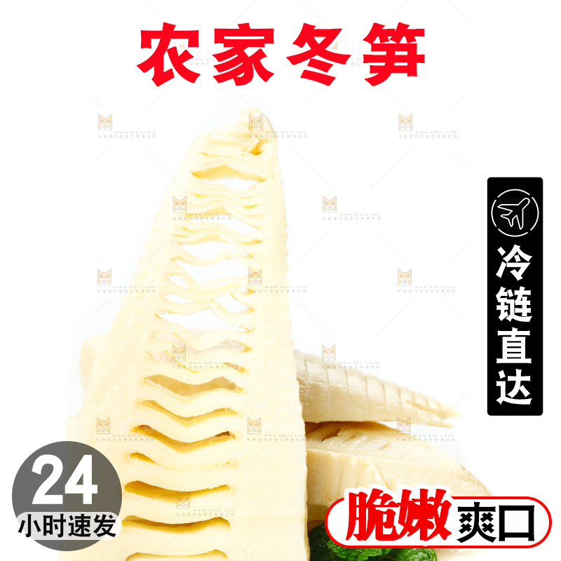 白底上的新鲜冬笋