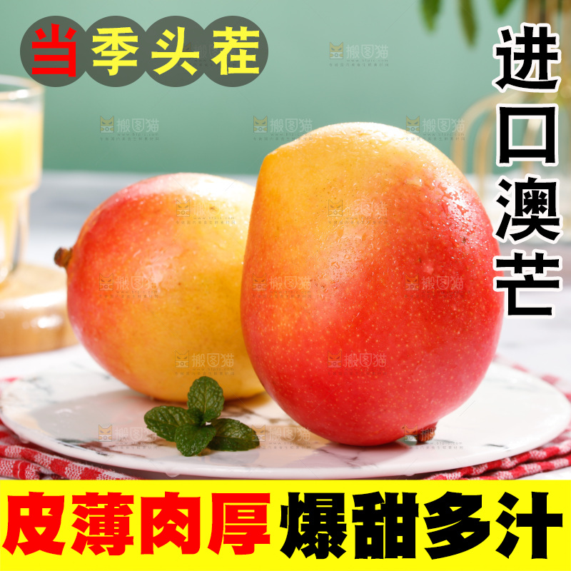 浅底上的澳芒