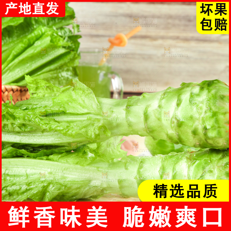 浅底上的莴笋