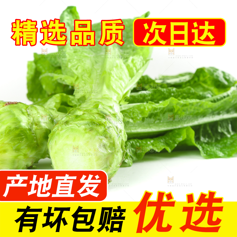 白底上的新鲜莴笋