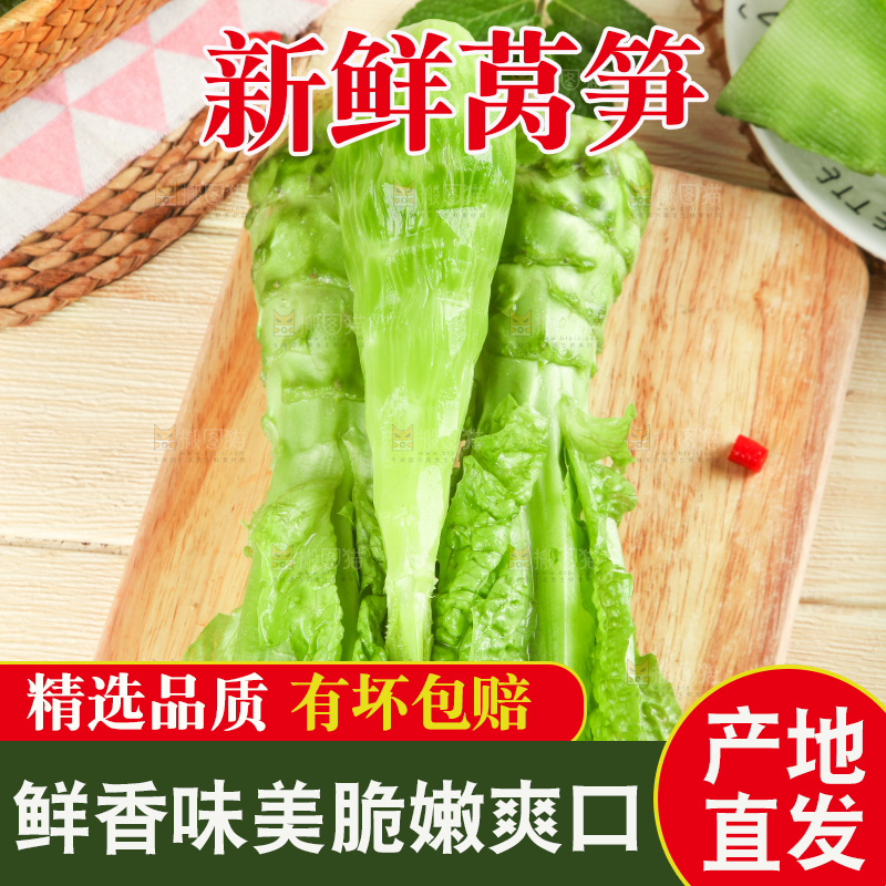 浅底上的莴笋