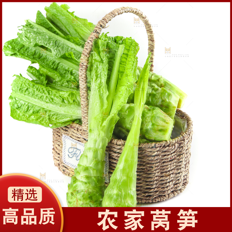 白底上的新鲜莴笋