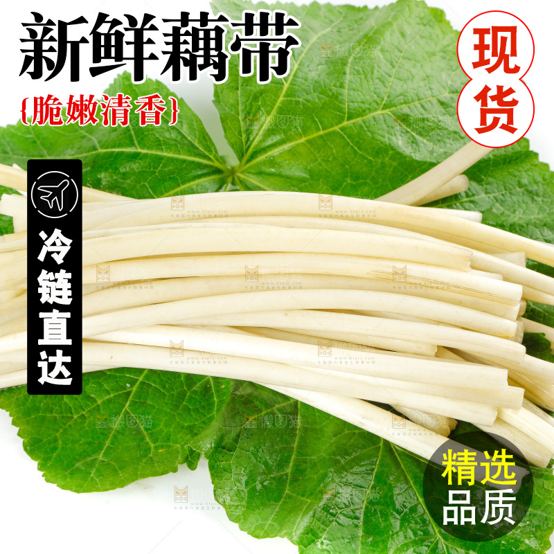 白底上的新鲜藕带
